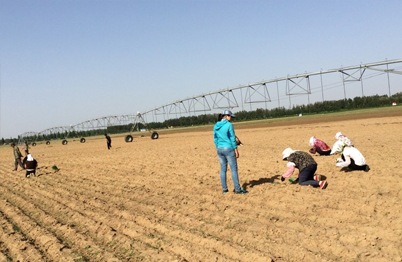 白泥井示范園區(qū)節(jié)水工程