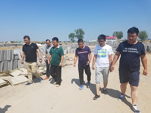 董事長薛躍虎對我公司正在施工項目進行實地考察